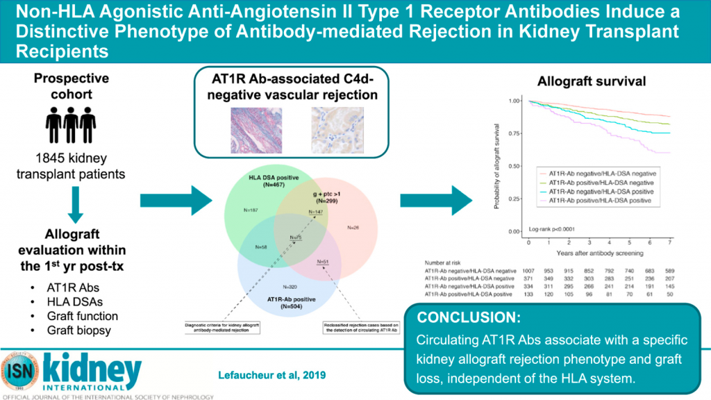 Neuer Artikel über AT1 Rezeptor Antikörper bei Empfängern von